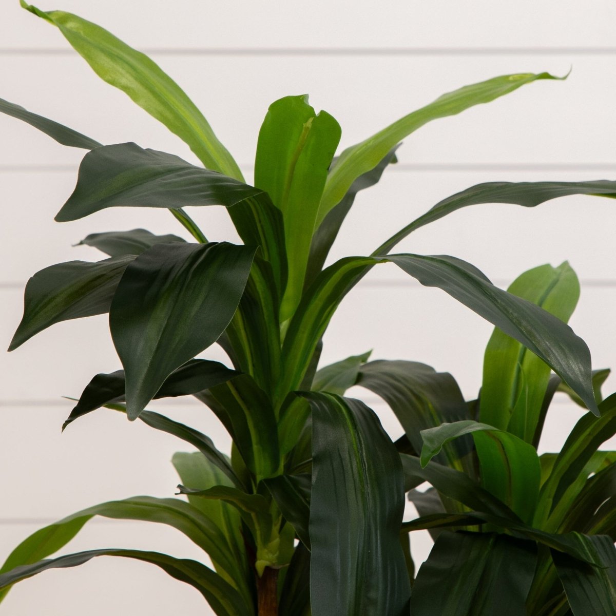 dracaena lily Nearly Natural 48in Dracaena Silk Plant (Real Touch)