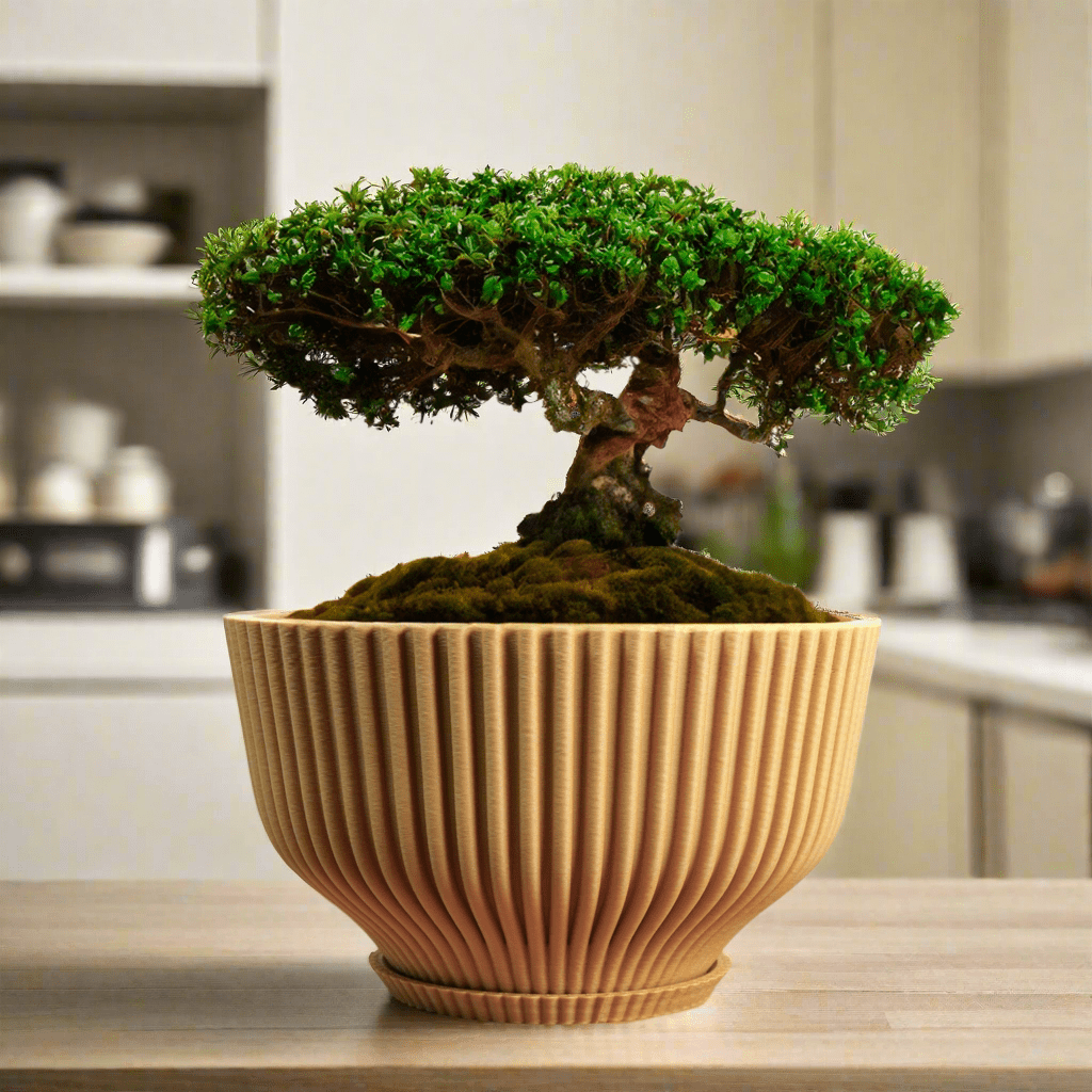 plant pots with drainage and saucer Bonsai Pot with Drainage & Tray Mustard / 8 Inch + Drip Tray