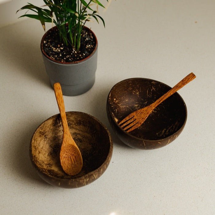 Bamboo Switch Coconut Shell Dinner Bowl Set