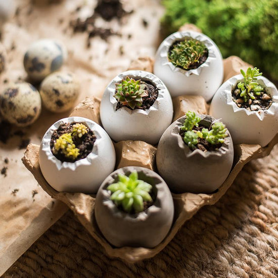 RusticReach Decorative Eggshell Style Cement Planter - lily & onyx