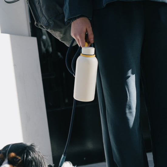 EKOBO Insulated Reusable Bottle, 12 oz - Ivory - lily & onyx
