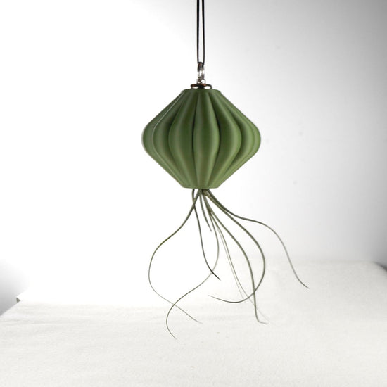 Rosebud HomeGoods Magnetic Lunar Lamp Shade Hanging Planter with Air Plant - lily & onyx