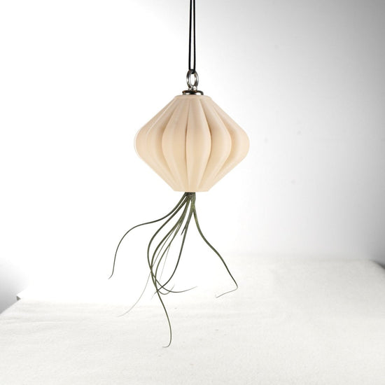 Rosebud HomeGoods Magnetic Lunar Lamp Shade Hanging Planter with Air Plant - lily & onyx