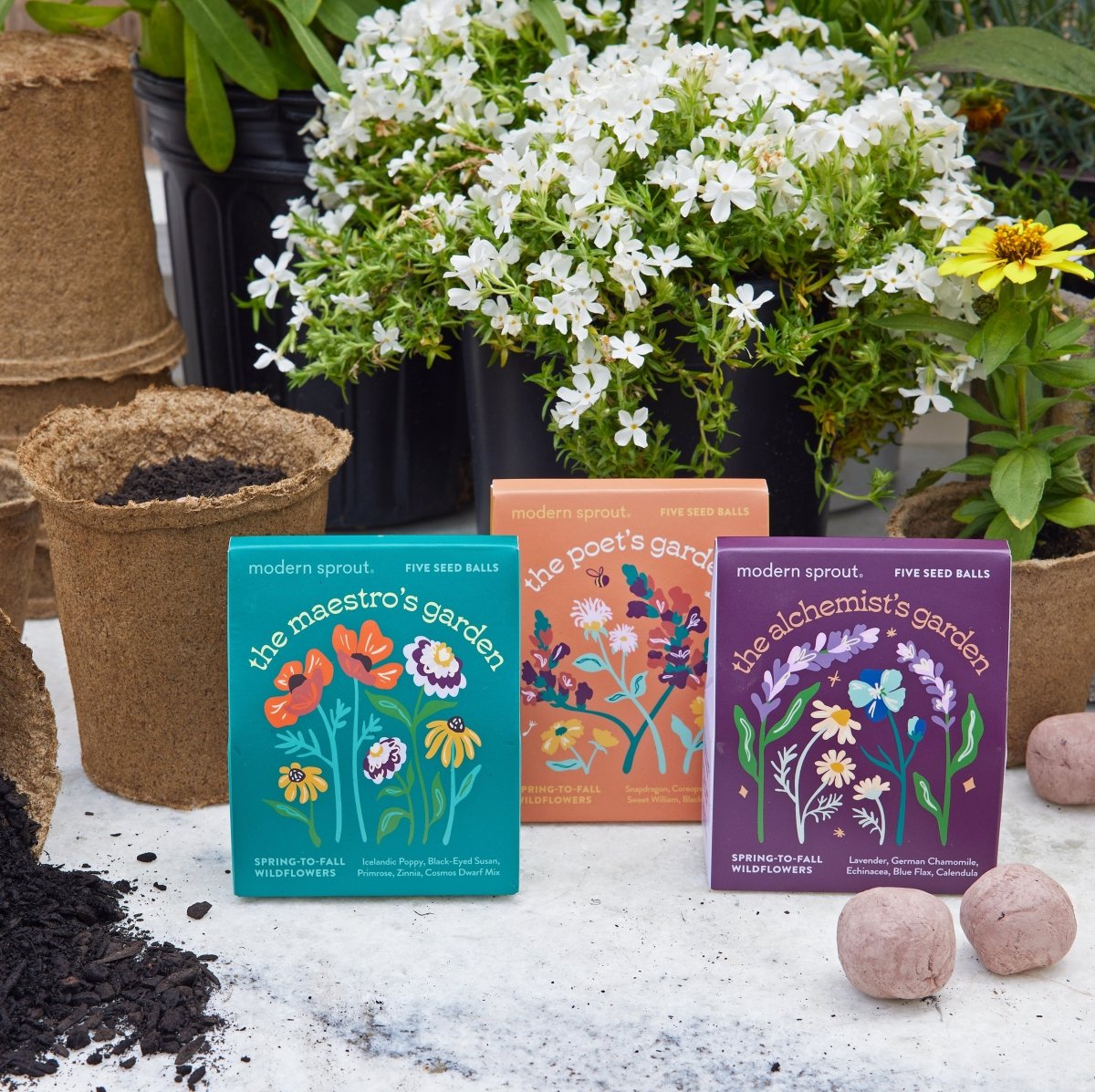Bespoke Blooms Seed Balls The Alchemist's Garden