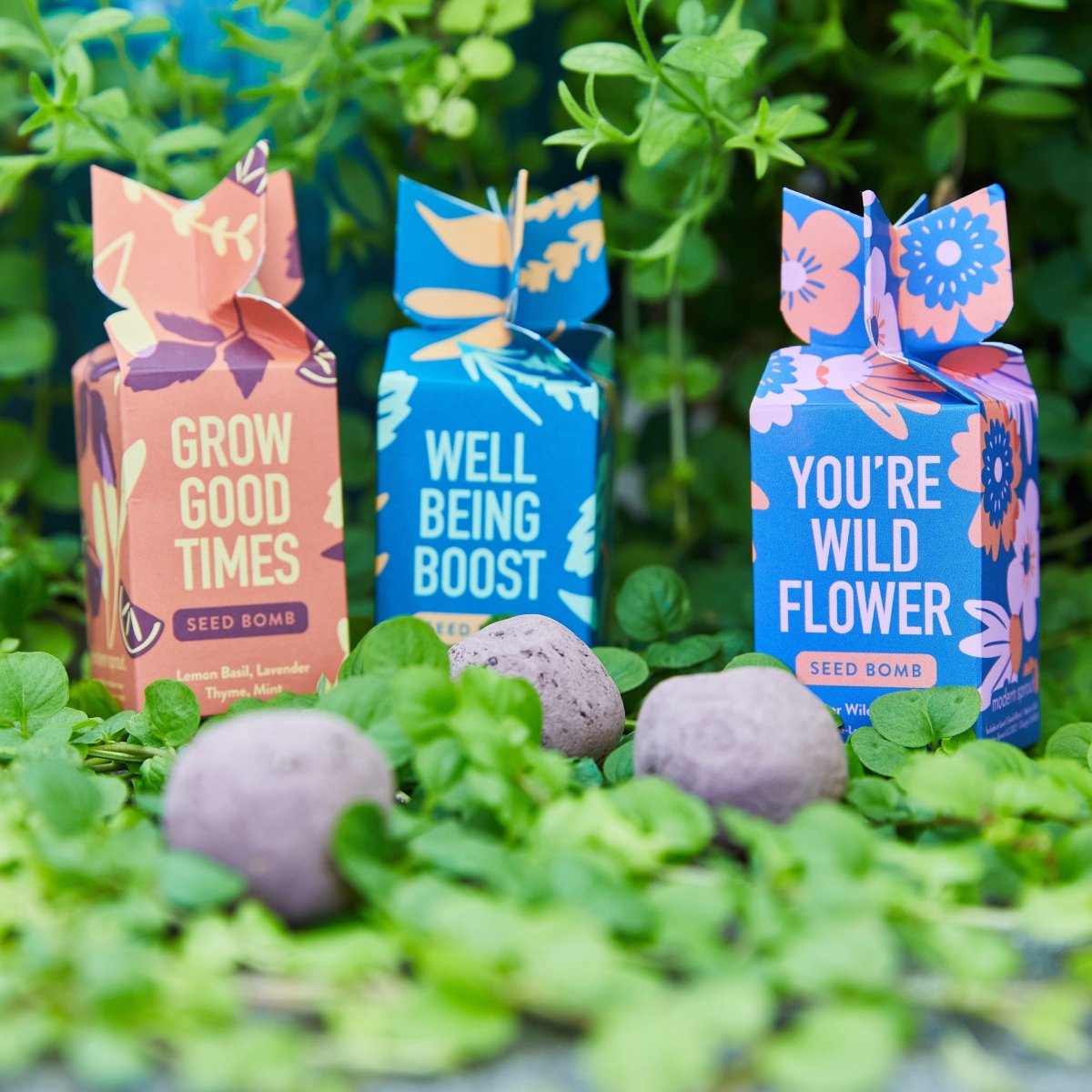 seed ball kit wildflower garden Seed Bomb