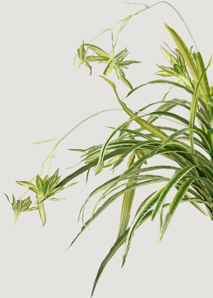 plastic spider plant Regency International Foliage Greenery Real Touch Spider Plant 32"