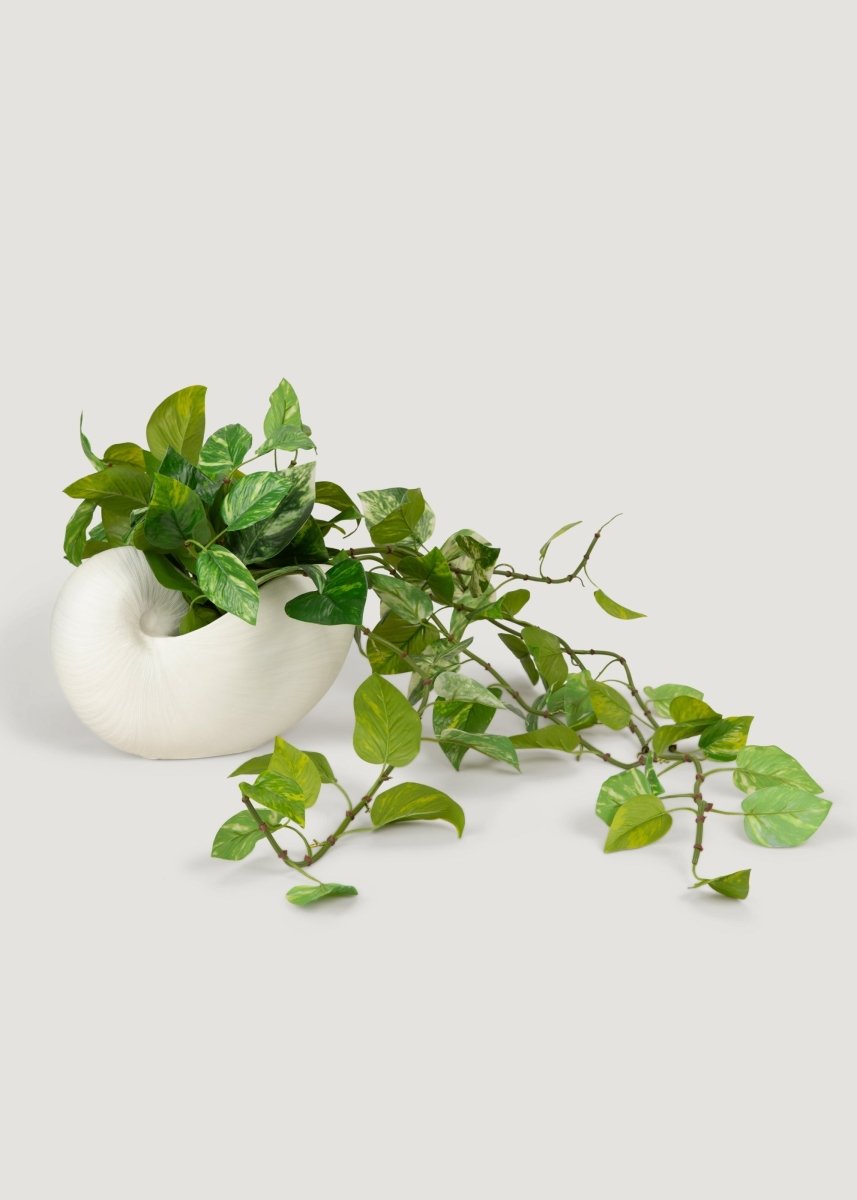 fake hanging pothos Natural Touch Variegated Pothos - Fake Hanging Plant