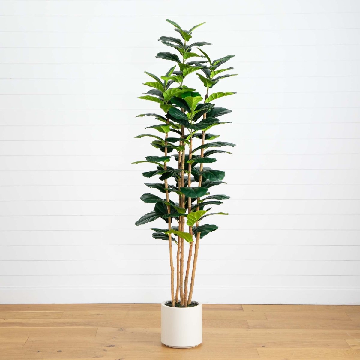 nearly natural fiddle leaf fig Nearly Natural 7ft. Artificial Fiddle Leaf Tree in Decorative White Planter
