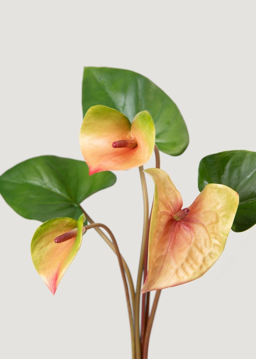 anthurium faux flower Pink and Green Faux Tropical Anthurium Flower Bundle - 25"