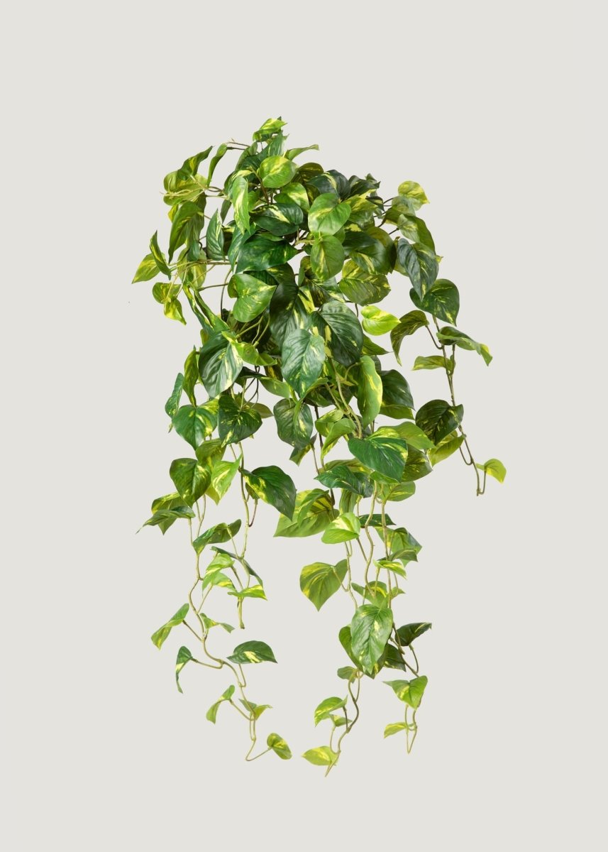 fake hanging pothos Deluxe Real Touch Pothos Fake Hanging Plant
