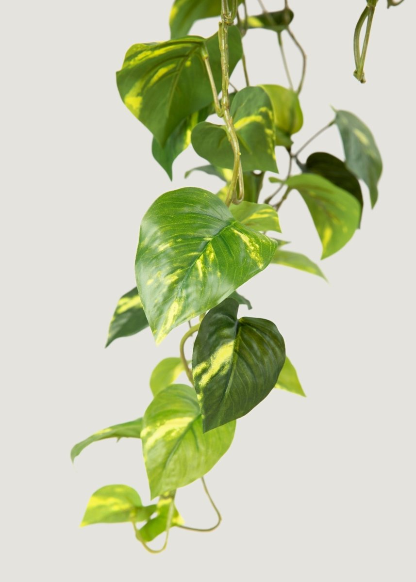 realistic hanging plants Deluxe Real Touch Pothos Fake Hanging Plant