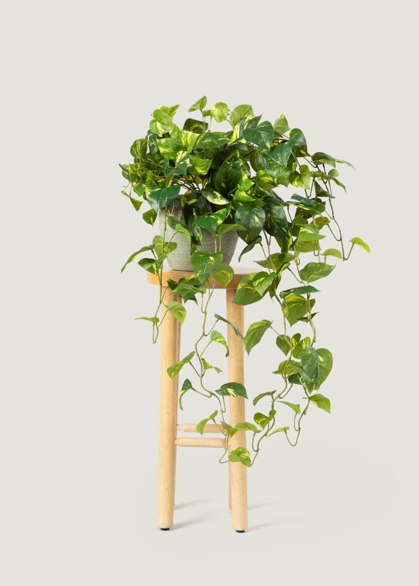 real hanging plants Deluxe Real Touch Pothos Fake Hanging Plant