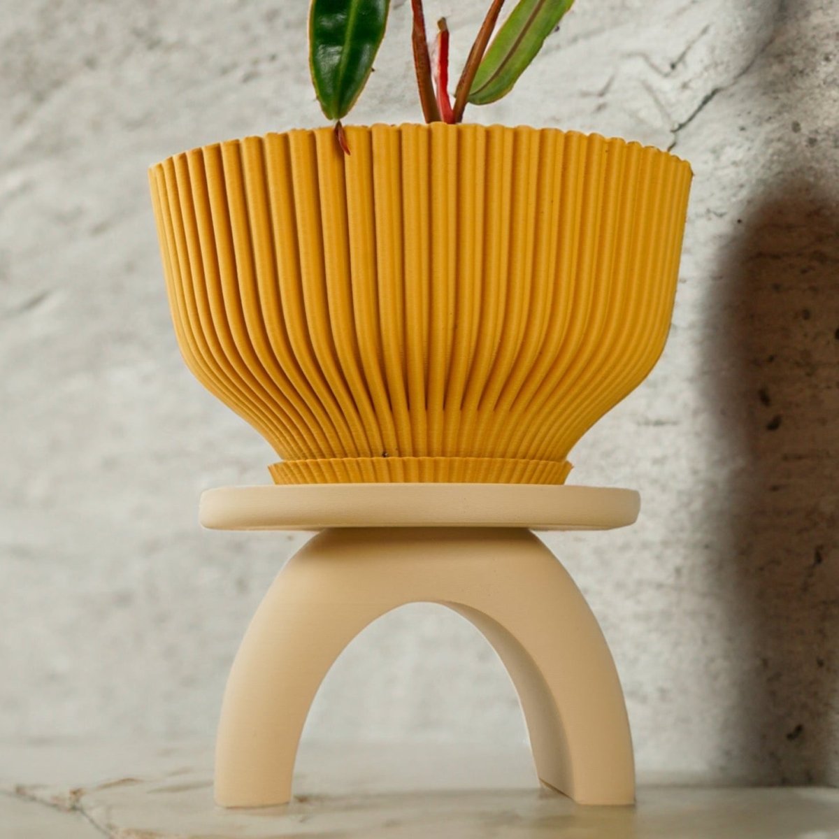 golden money plant Golden Money Plant with Premium Metal Pot by Orchid N Petals main image 1
