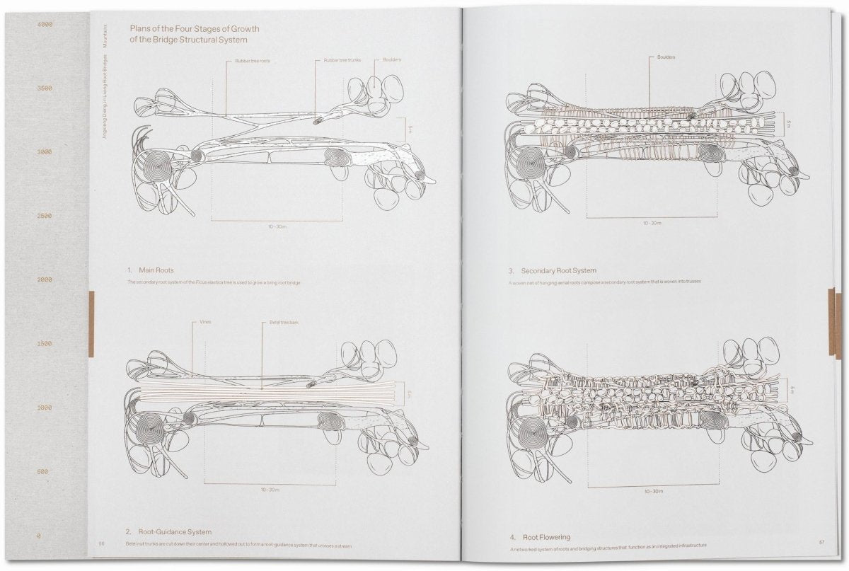 Julia Watson. Lo—TEK. Design by Radical Indigenism (English 