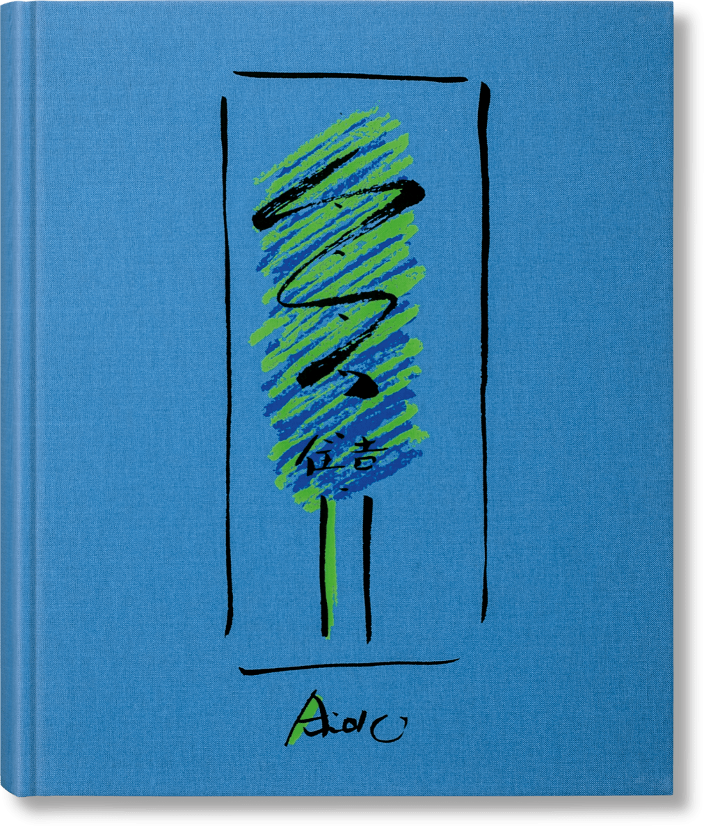 Tadao Ando. Sketches, Drawings, and Architecture (German, French