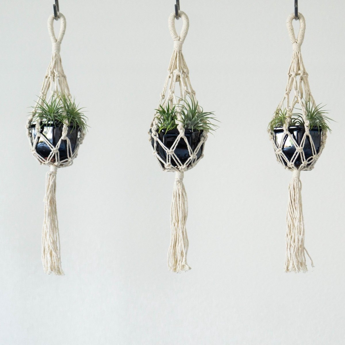 mini plant hanger diy Mini Macrame Plant Hanger 18" - Natural Cotton