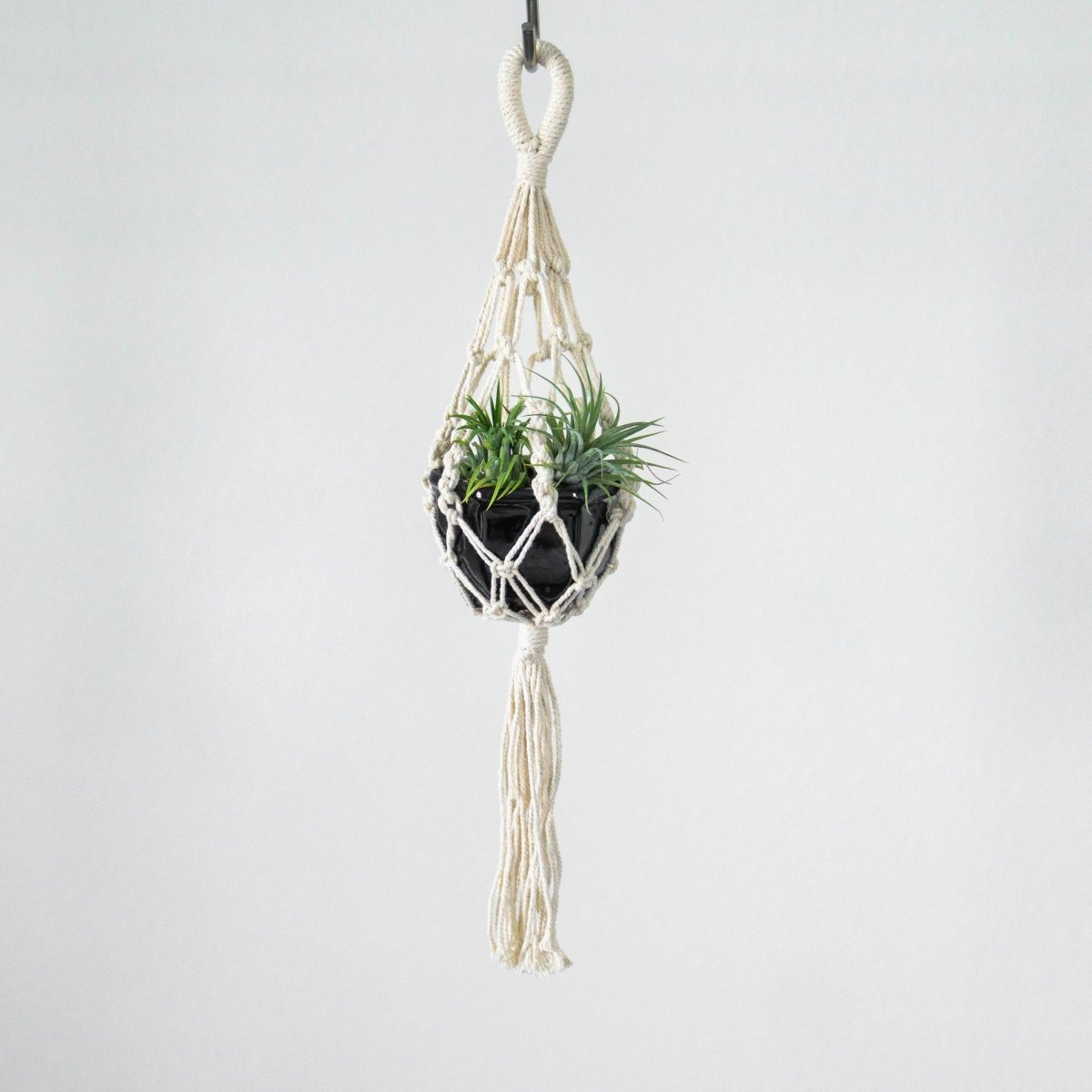Mini Macrame Plant Hanger 18