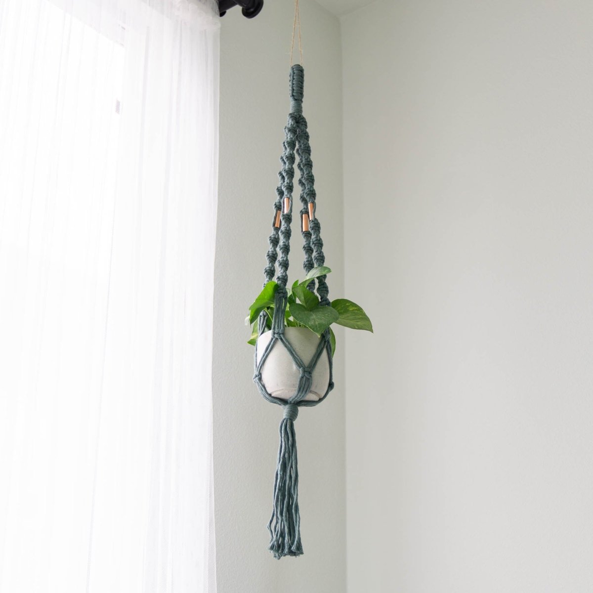 twisted macrame plant hanger Juniper Green Macrame Plant Hanger, 36"