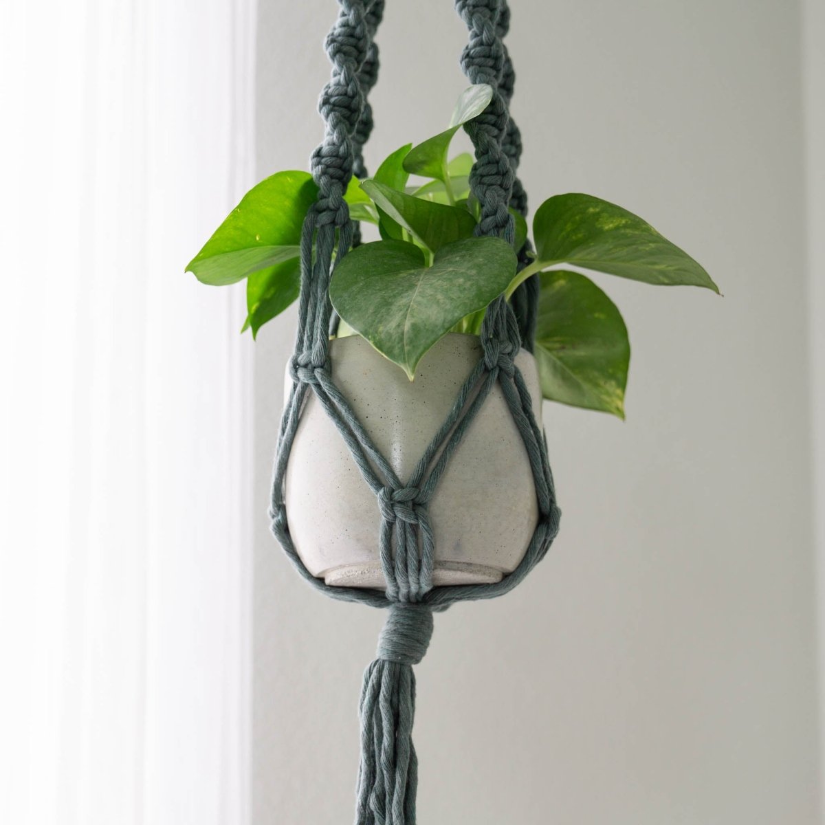 Juniper Green Macrame Plant Hanger, 36