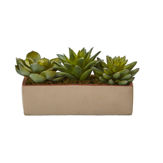 Nearly Natural 5" Mixed Succulent Pot - lily & onyx