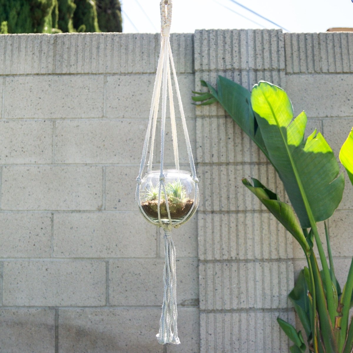 dip dyed macrame plant hanger Ombre Macrame Plant Hanger 36" - Dip-Dyed