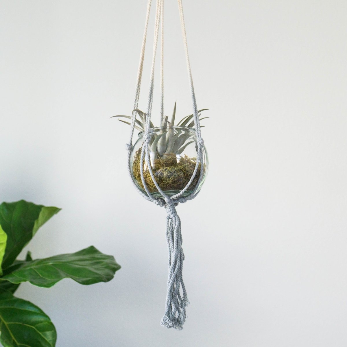 ombre macrame plant hanger Ombre Macrame Plant Hanger, 36