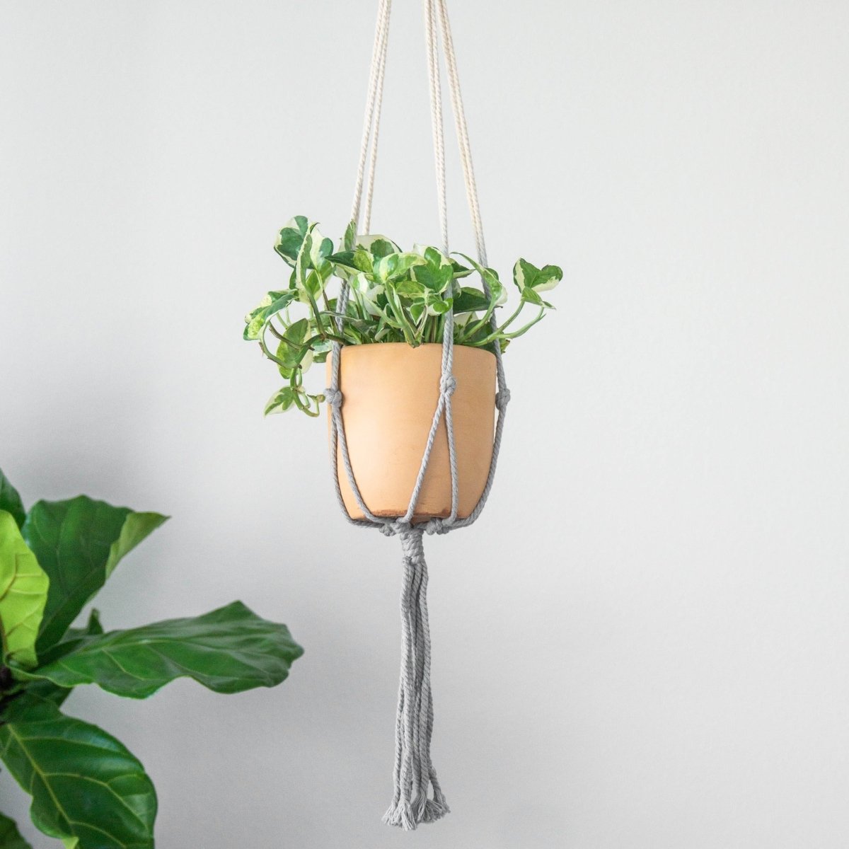 dip dyed macrame plant hanger Ombre Macrame Plant Hanger, 36"