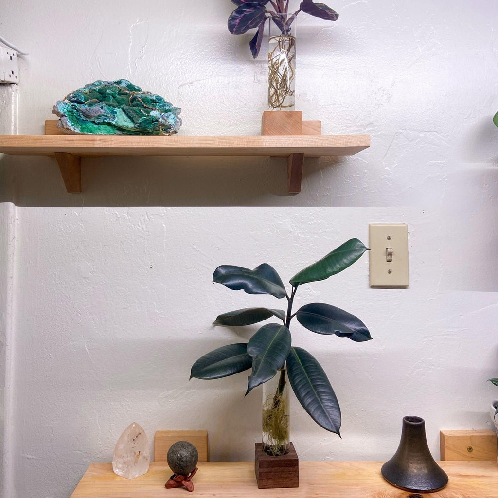 indoor plant propagation station Maple Wood Grow Cube Water Propagation Station