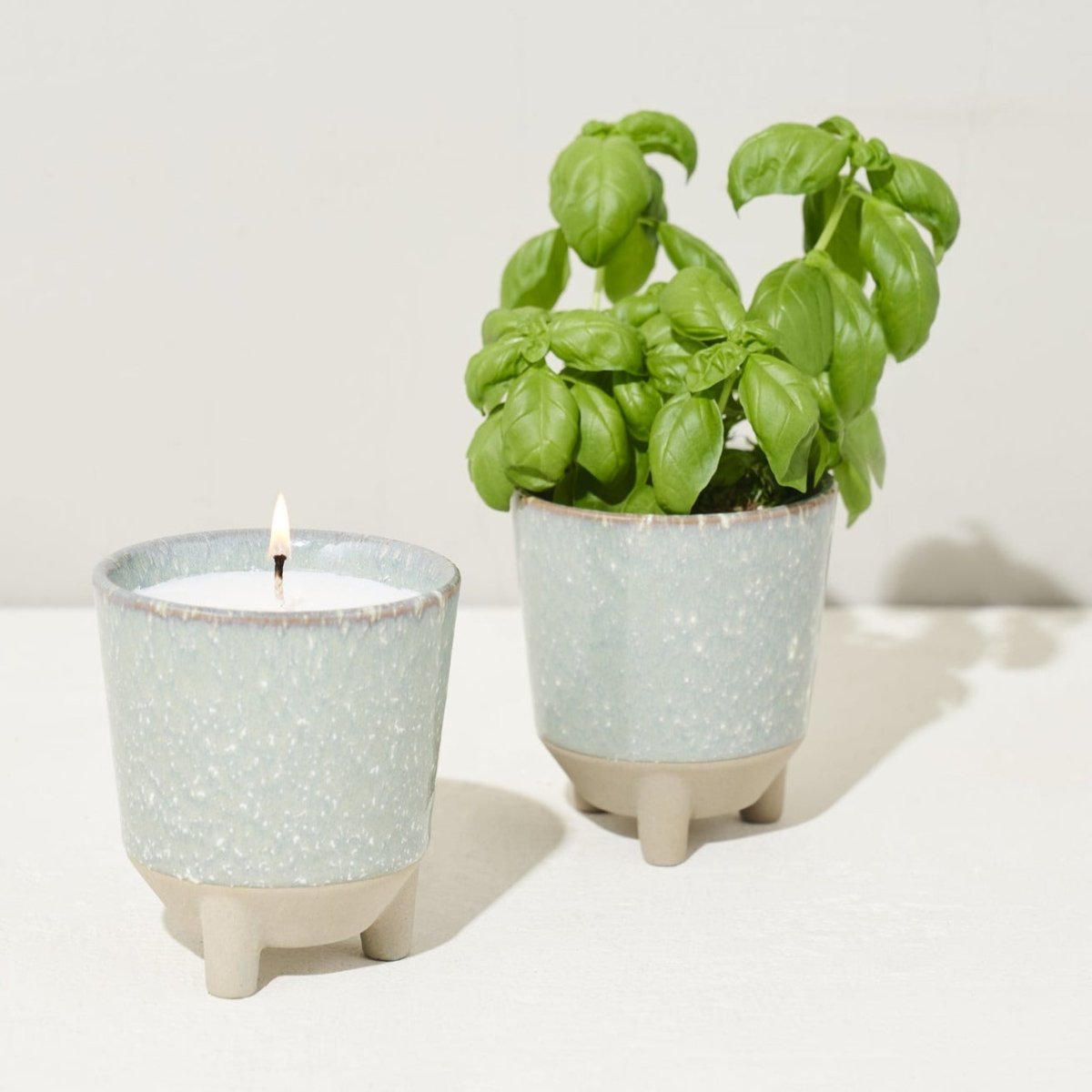 Modern Sprout Glow & Grow Kits - lily & onyx