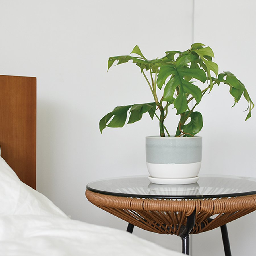 kinto plant pot Plant Pot 193_ White 110mm KINTO