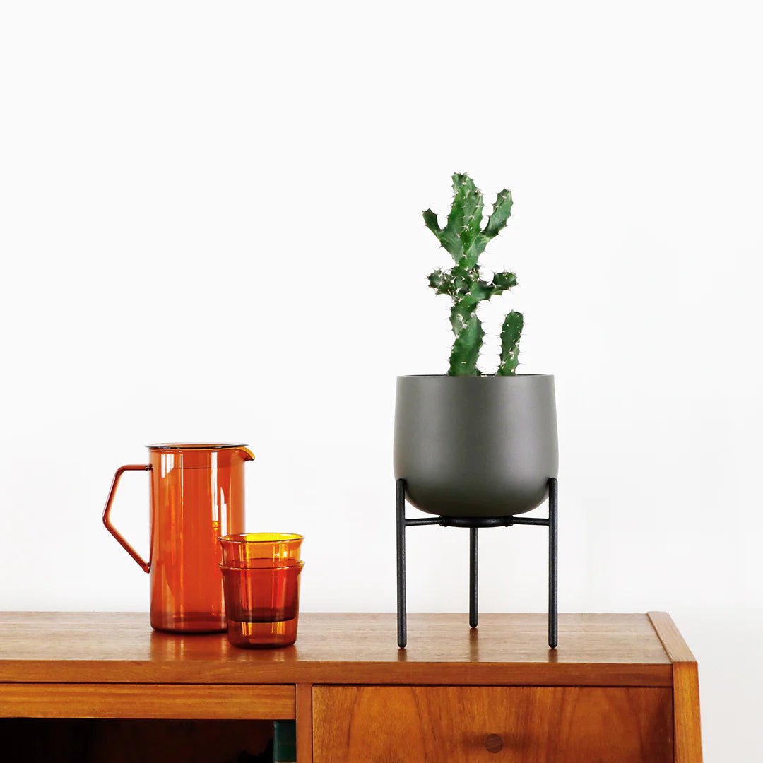 KINTO 5in Ceramic Plant Pot 211 in Cream