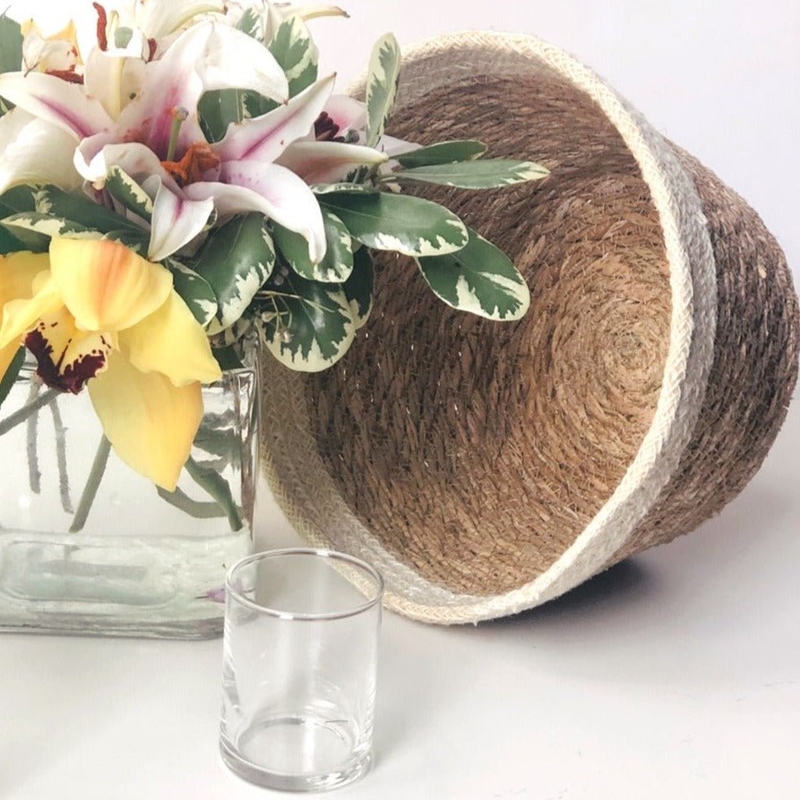 KORISSA Savar Plant Bowl, Set of 3 - lily & onyx