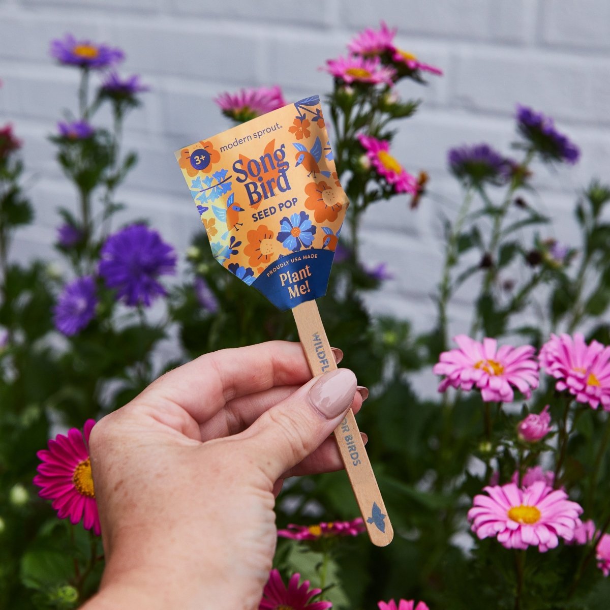 Modern Sprout Seed Pops - Pollinator - lily & onyx