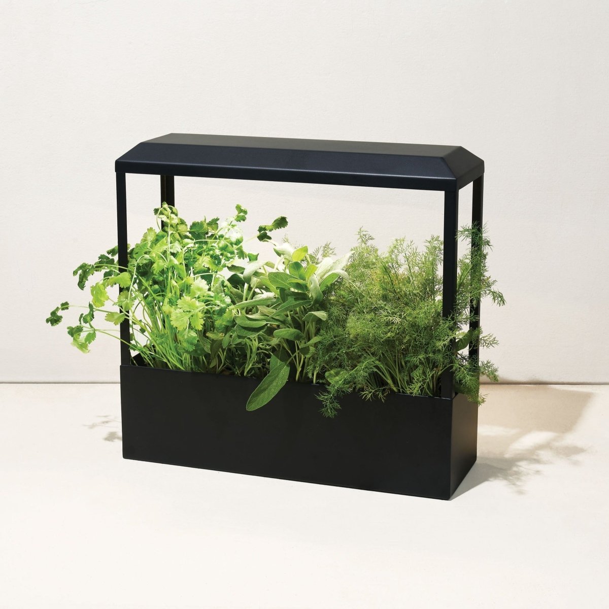 Modern Sprout Smart Growhouse - lily & onyx