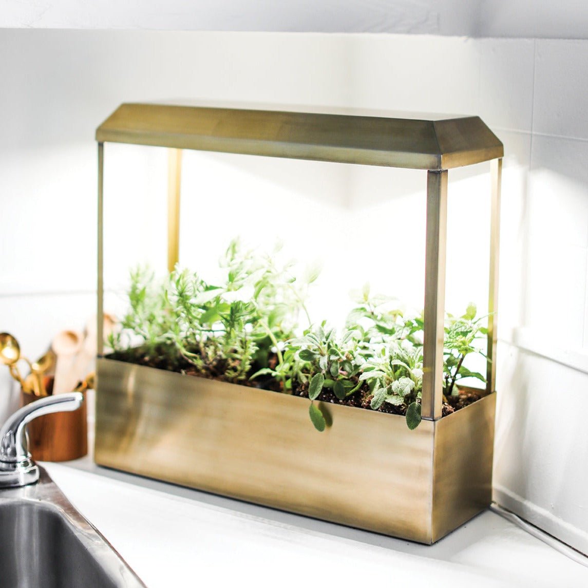 Modern Sprout Smart Growhouse - lily & onyx
