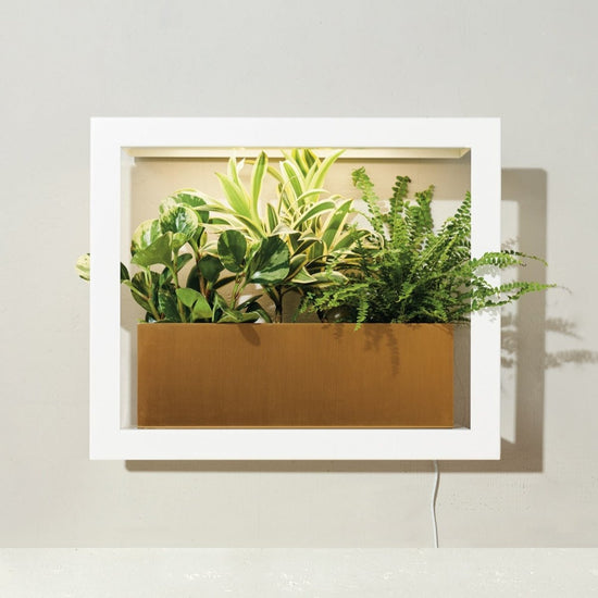 Modern Sprout Smart Standard Growframe - lily & onyx