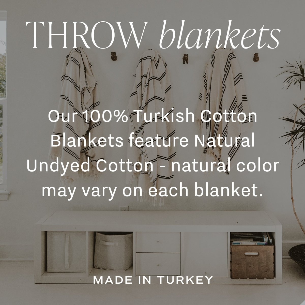 Sweet Water Decor Taylor Turkish Throw Blanket - Three Stripe - lily & onyx