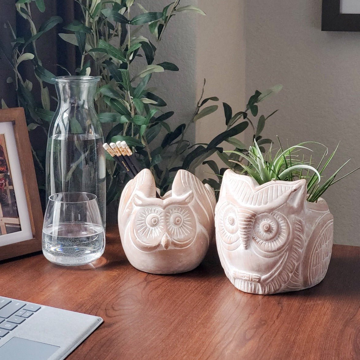 KORISSA Terracotta Pot - Horned Owl - lily & onyx