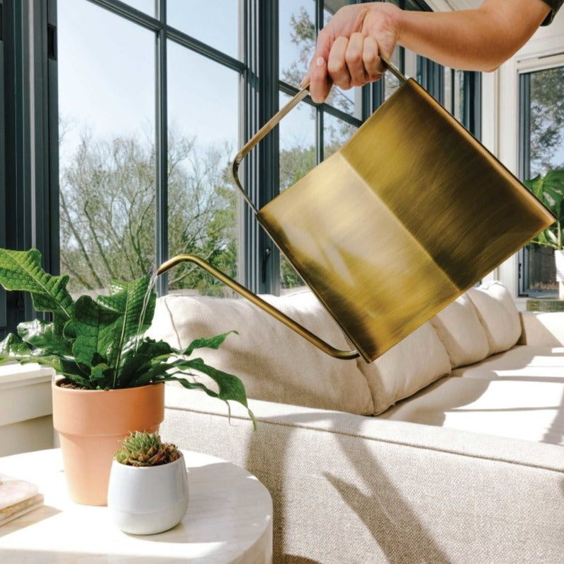 Modern Sprout Watering Can - lily & onyx