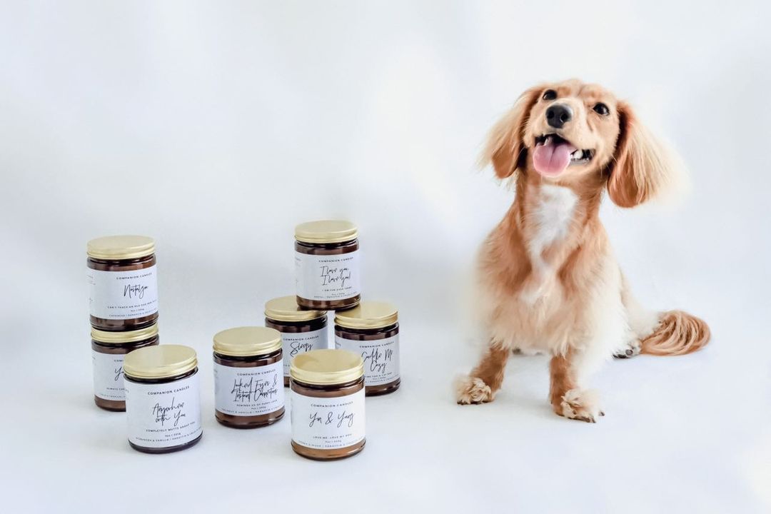Companion Candles - lily & onyx