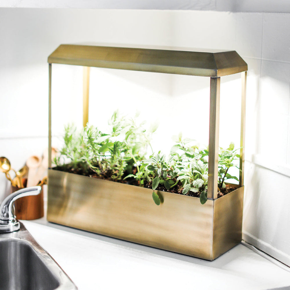 Plant Grow Kits - lily & onyx