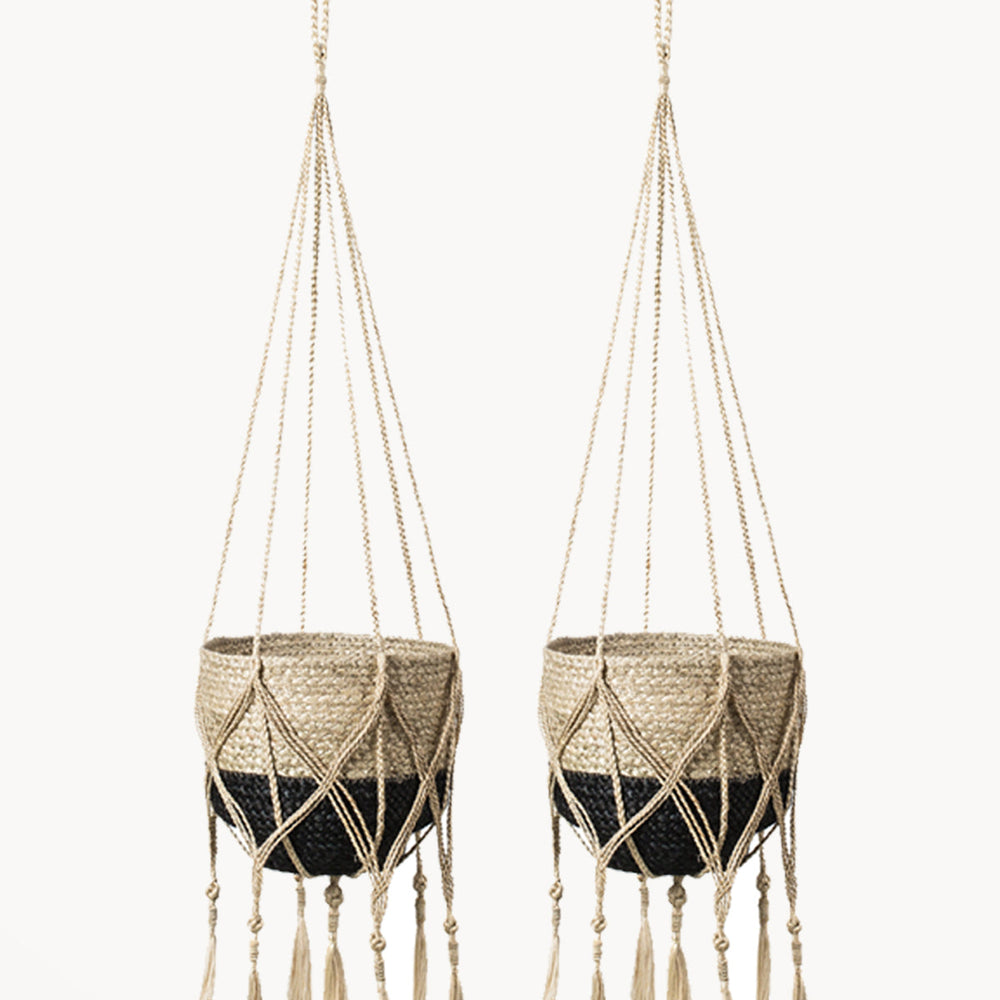 
                      
                        Plant Hanger, Bitan
                      
                    