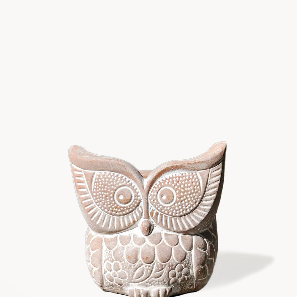 Terracotta Pot - Big Eye Owl