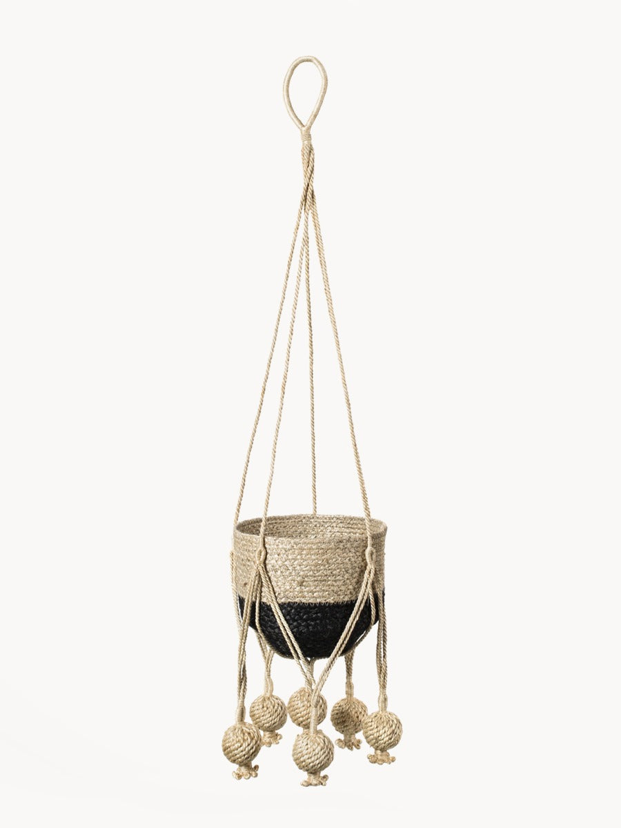 Plant Hanger, Kadam