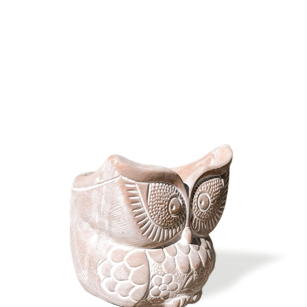 
                      
                        Terracotta Pot - Big Eye Owl
                      
                    