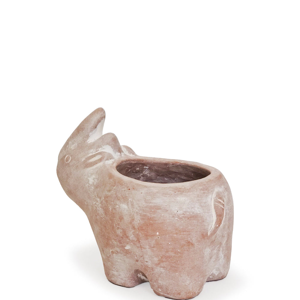 
                      
                        Terracotta Pot - Rhino
                      
                    