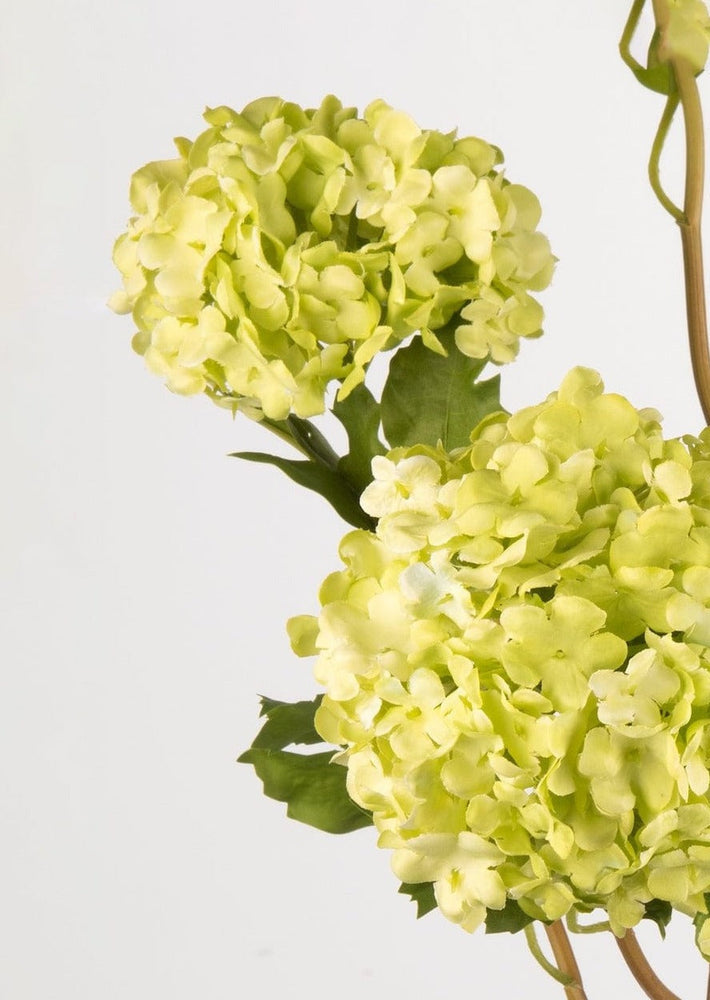 
                      
                        Faux Flowers Snowball Flower Stem in Green, 43.5"
                      
                    
