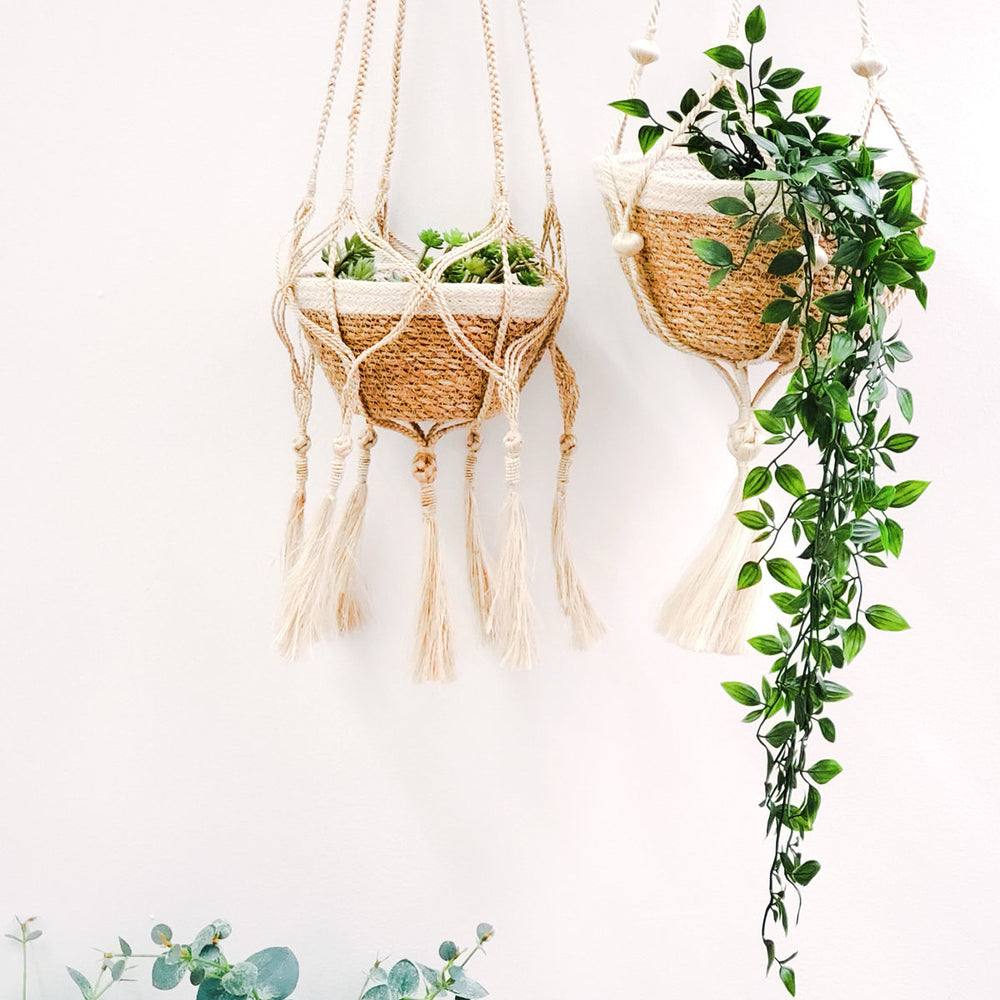 
                      
                        Plant Hanger, Nadu
                      
                    