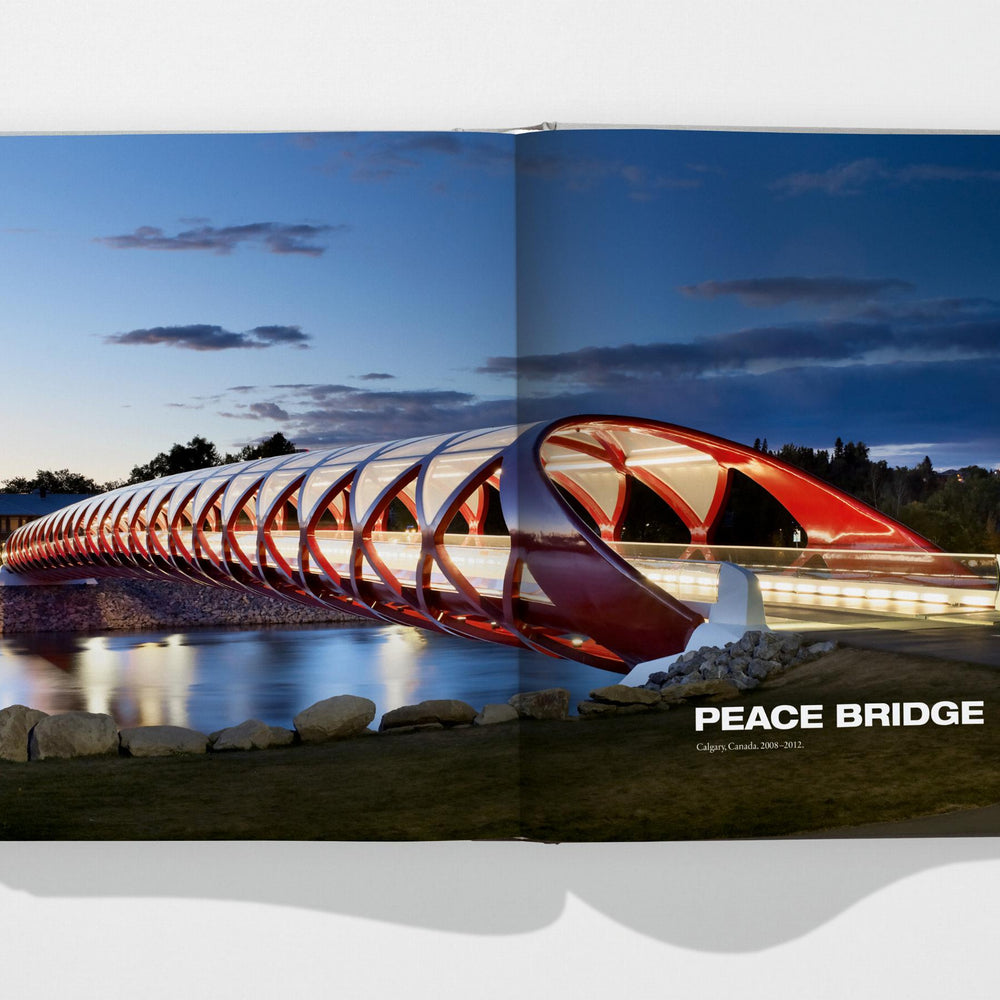 
                      
                        Calatrava. Complete Works 1979–Today (German, French, English)
                      
                    