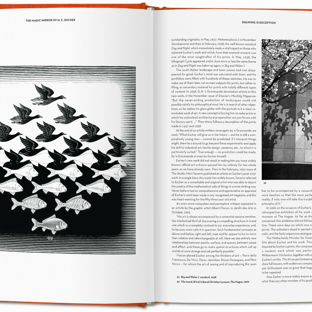 
                      
                        El espejo mágico de M.C. Escher (Spanish)
                      
                    